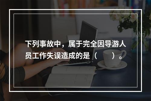 下列事故中，属于完全因导游人员工作失误造成的是（　　）。