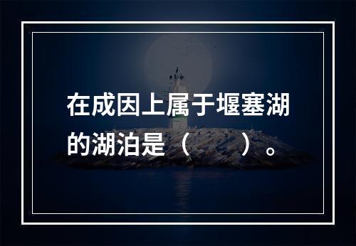 在成因上属于堰塞湖的湖泊是（　　）。