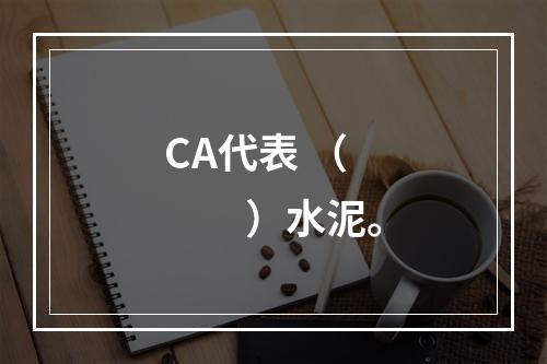 CA代表 （　　）水泥。