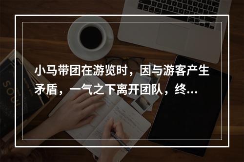 小马带团在游览时，因与游客产生矛盾，一气之下离开团队，终止