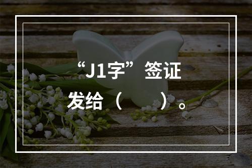 “J1字”签证发给（　　）。