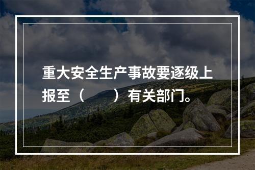 重大安全生产事故要逐级上报至（　　）有关部门。