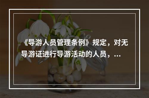 《导游人员管理条例》规定，对无导游证进行导游活动的人员，由