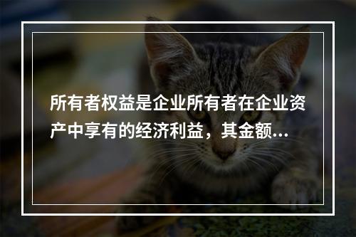 所有者权益是企业所有者在企业资产中享有的经济利益，其金额为企