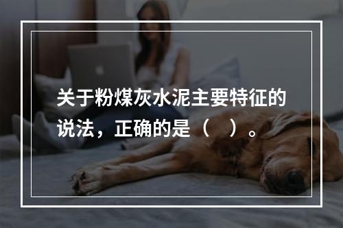 关于粉煤灰水泥主要特征的说法，正确的是（　）。