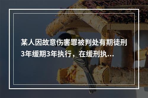 某人因故意伤害罪被判处有期徒刑3年缓期3年执行，在缓刑执行