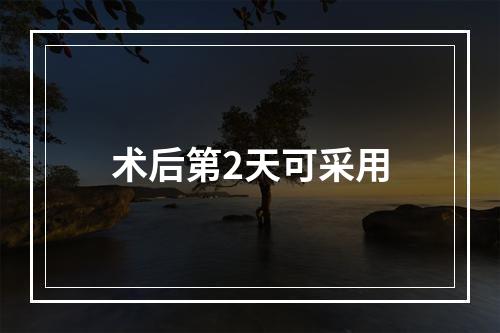 术后第2天可采用