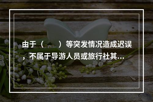 由于（　　）等突发情况造成迟误，不属于导游人员或旅行社其他