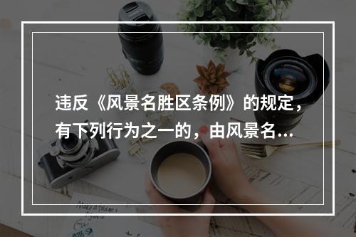 违反《风景名胜区条例》的规定，有下列行为之一的，由风景名胜