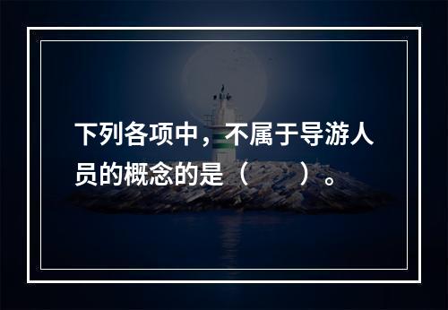 下列各项中，不属于导游人员的概念的是（　　）。