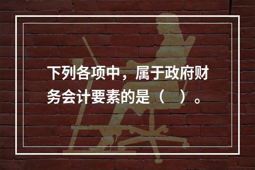 下列各项中，属于政府财务会计要素的是（　）。