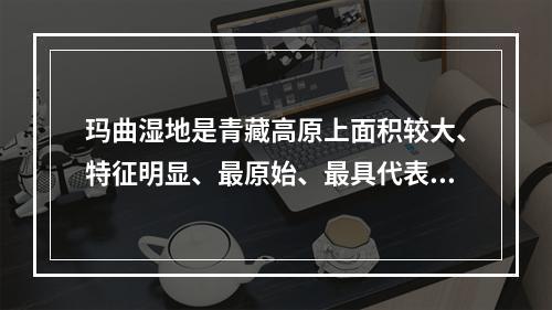 玛曲湿地是青藏高原上面积较大、特征明显、最原始、最具代表性