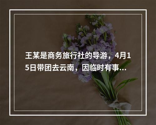 王某是商务旅行社的导游，4月15日带团去云南，因临时有事，