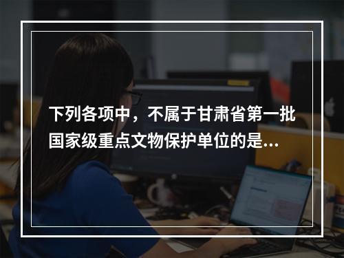 下列各项中，不属于甘肃省第一批国家级重点文物保护单位的是（