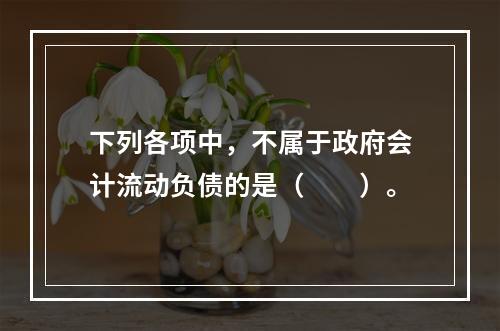 下列各项中，不属于政府会计流动负债的是（　　）。