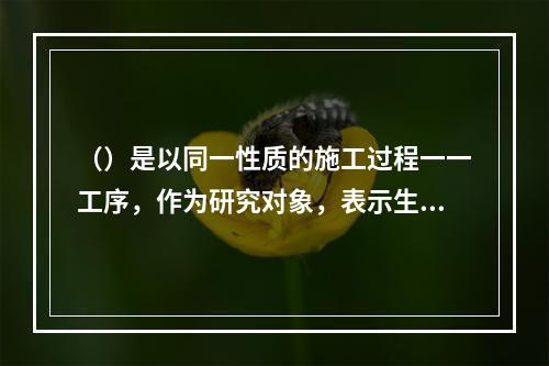 （）是以同一性质的施工过程一一工序，作为研究对象，表示生产产