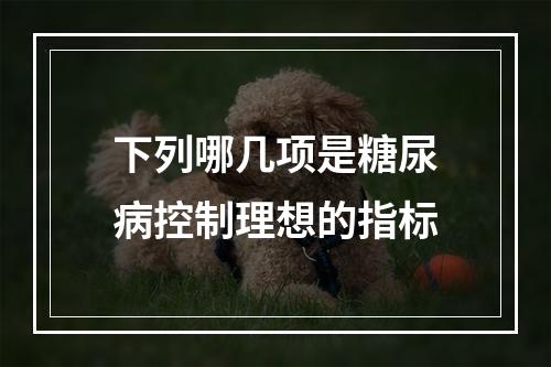 下列哪几项是糖尿病控制理想的指标