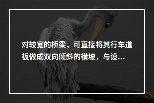 对较宽的桥梁，可直接将其行车道板做成双向倾斜的横坡，与设置三