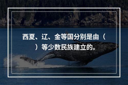 西夏、辽、金等国分别是由（　　）等少数民族建立的。