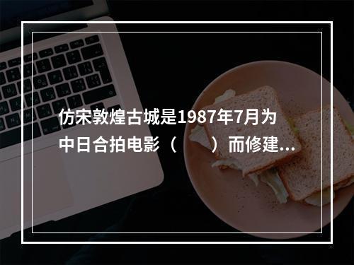 仿宋敦煌古城是1987年7月为中日合拍电影（　　）而修建的