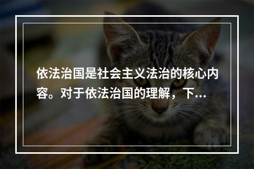 依法治国是社会主义法治的核心内容。对于依法治国的理解，下列