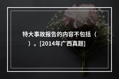 特大事故报告的内容不包括（　　）。[2014年广西真题]