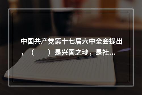 中国共产党第十七届六中全会提出，（　　）是兴国之魂，是社会