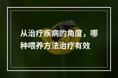 从治疗疾病的角度，哪种喂养方法治疗有效