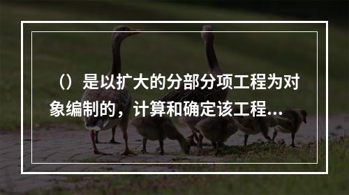 （）是以扩大的分部分项工程为对象编制的，计算和确定该工程项目