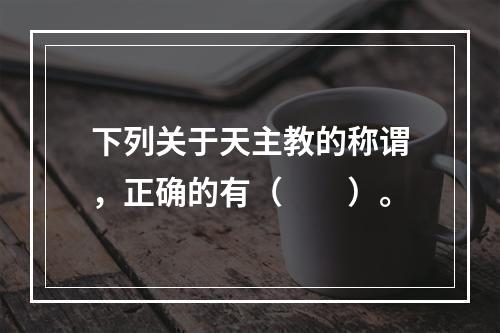 下列关于天主教的称谓，正确的有（　　）。