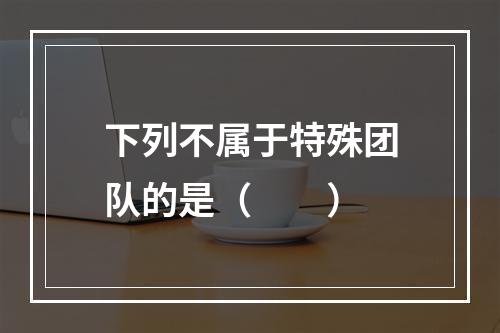 下列不属于特殊团队的是（　　）