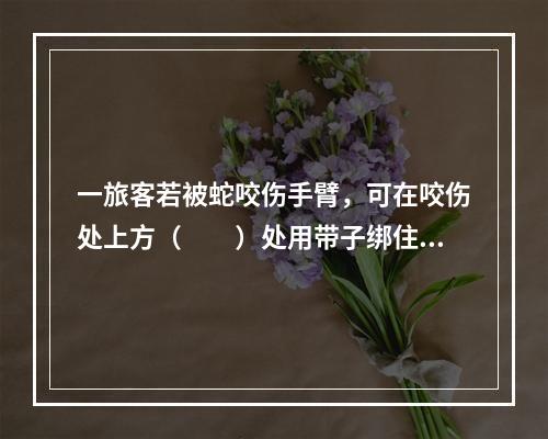 一旅客若被蛇咬伤手臂，可在咬伤处上方（　　）处用带子绑住。