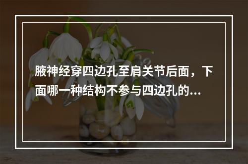 腋神经穿四边孔至肩关节后面，下面哪一种结构不参与四边孔的构成