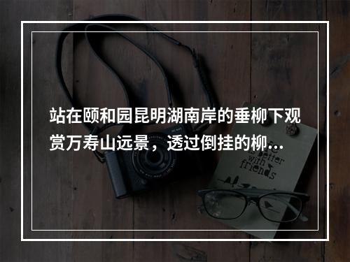 站在颐和园昆明湖南岸的垂柳下观赏万寿山远景，透过倒挂的柳丝，