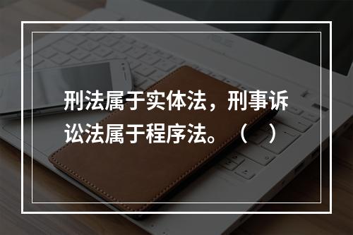 刑法属于实体法，刑事诉讼法属于程序法。（　）