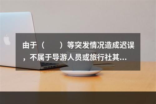 由于（　　）等突发情况造成迟误，不属于导游人员或旅行社其他