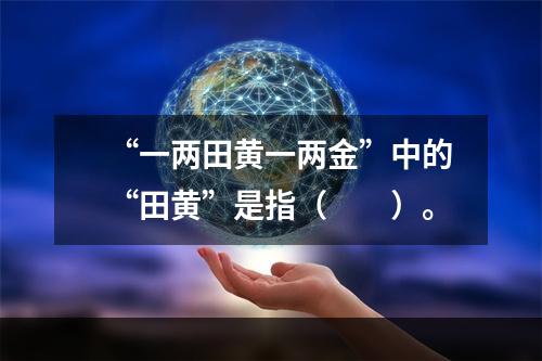 “一两田黄一两金”中的“田黄”是指（　　）。