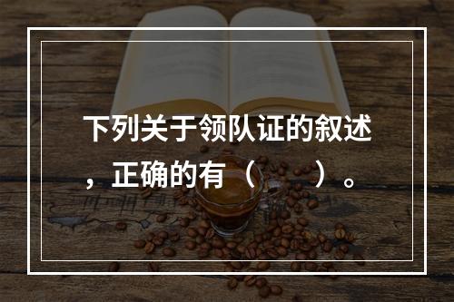 下列关于领队证的叙述，正确的有（　　）。