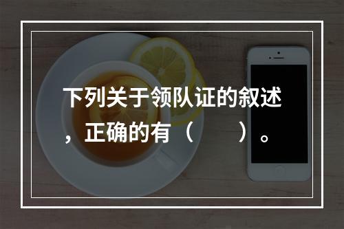 下列关于领队证的叙述，正确的有（　　）。