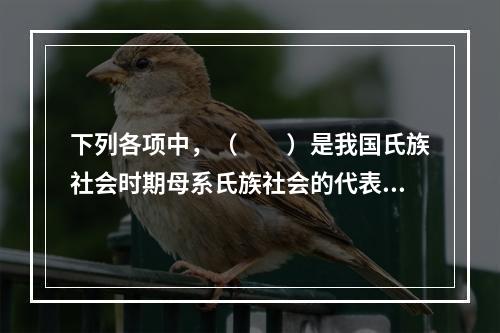 下列各项中，（　　）是我国氏族社会时期母系氏族社会的代表人