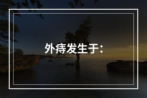 外痔发生于：