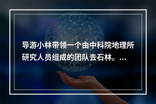 导游小林带领一个由中科院地理所研究人员组成的团队去石林。上