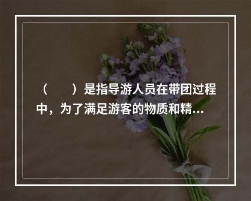 （　　）是指导游人员在带团过程中，为了满足游客的物质和精神需