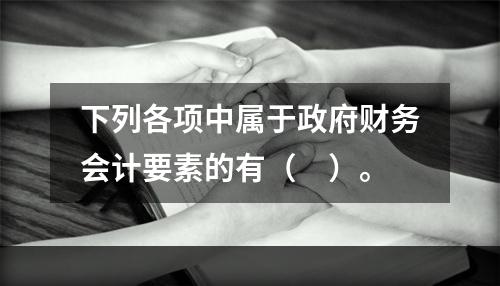 下列各项中属于政府财务会计要素的有（　）。