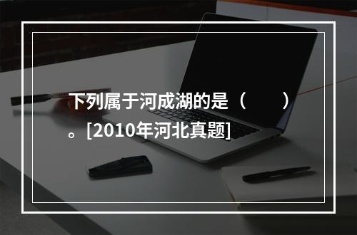 下列属于河成湖的是（　　）。[2010年河北真题]