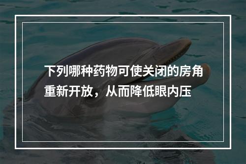 下列哪种药物可使关闭的房角重新开放，从而降低眼内压