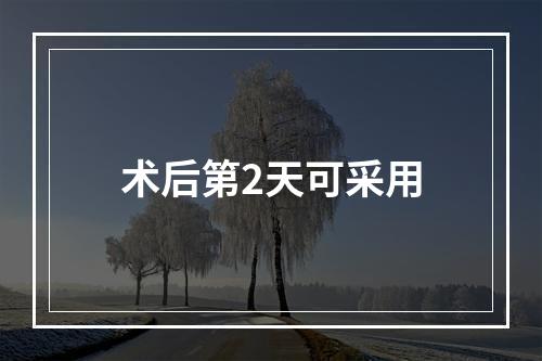 术后第2天可采用