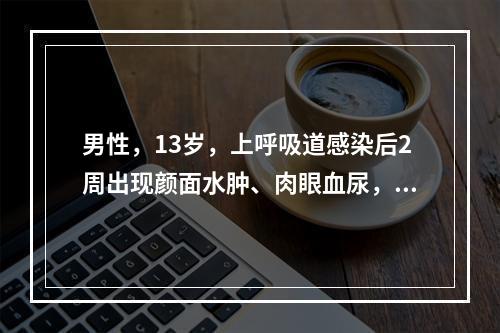 男性，13岁，上呼吸道感染后2周出现颜面水肿、肉眼血尿，血压