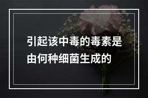 引起该中毒的毒素是由何种细菌生成的