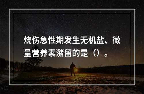 烧伤急性期发生无机盐、微量营养素潴留的是（）。